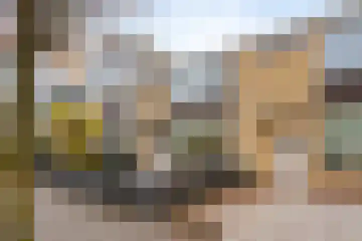 Zwanebloemkade 17 Zaandam thumbnail 24