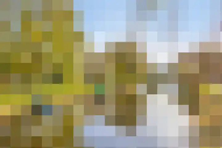 Zwanebloemkade 17 Zaandam thumbnail 25
