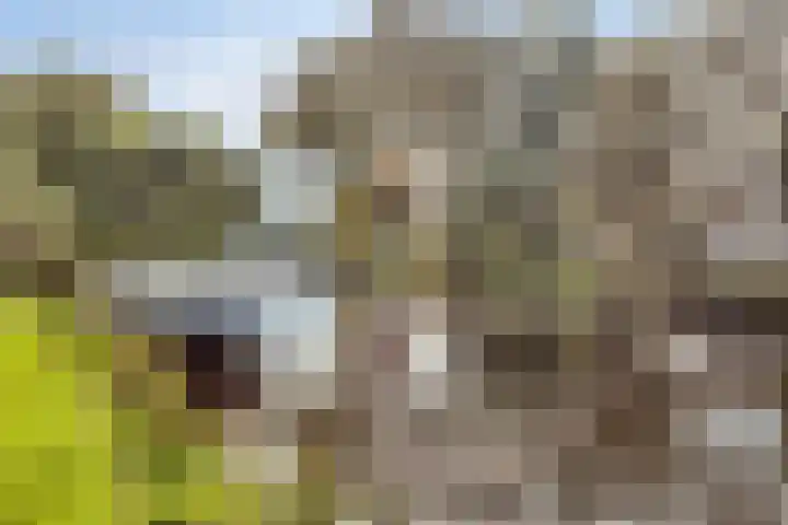 Zwanebloemkade 17 Zaandam thumbnail 27
