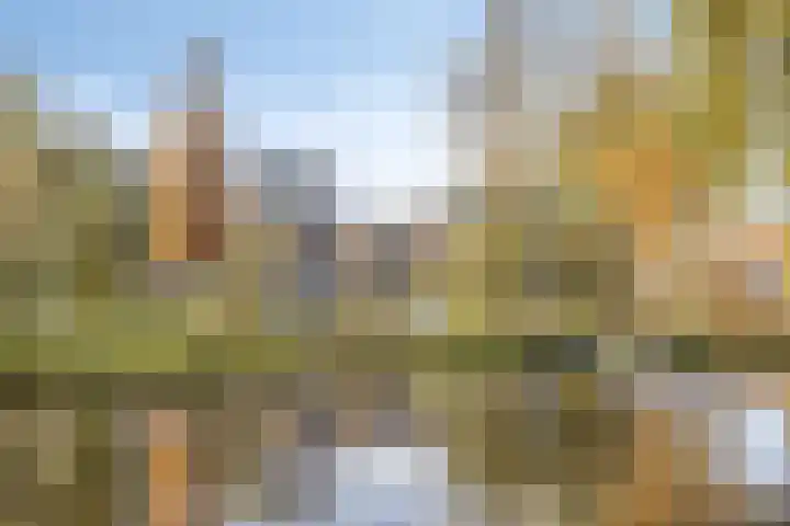 Zwanebloemkade 17 Zaandam thumbnail 28