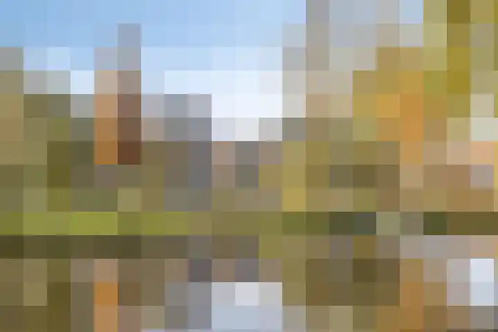 Zwanebloemkade 17 Zaandam thumbnail 29