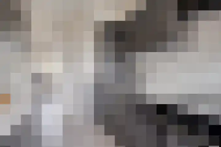 Zwanebloemkade 17 Zaandam thumbnail 4
