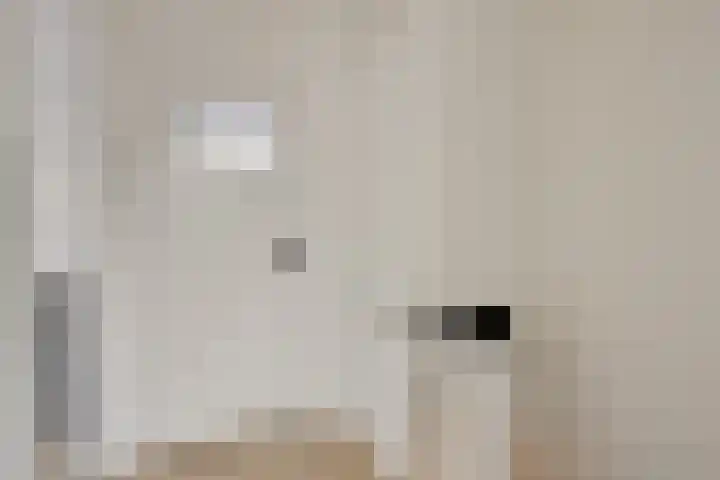 Zwanebloemkade 17 Zaandam thumbnail 6