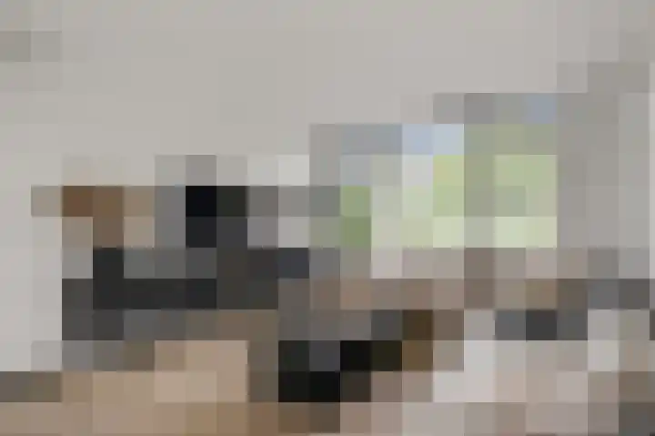 Zwanebloemkade 27 Zaandam thumbnail 11
