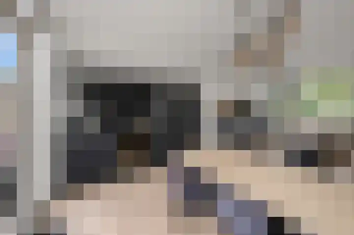Zwanebloemkade 27 Zaandam thumbnail 7