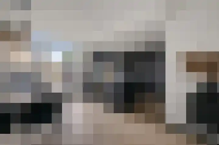 Zwanebloemkade 27 Zaandam thumbnail 8