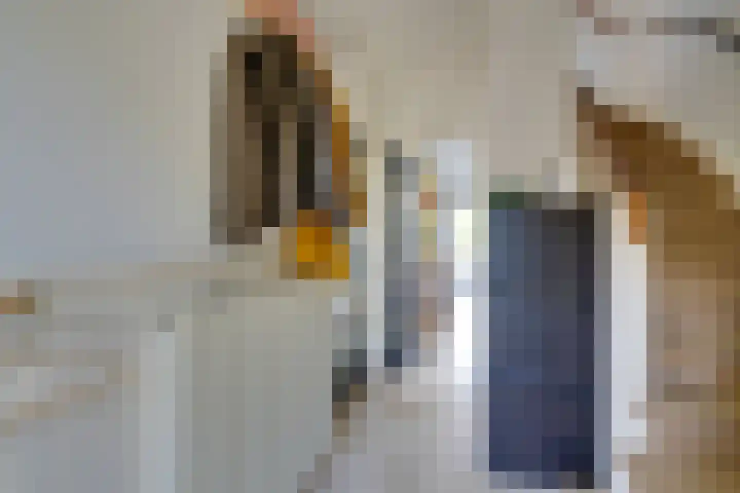 Zwanebloemkade 33 Zaandam thumbnail 11