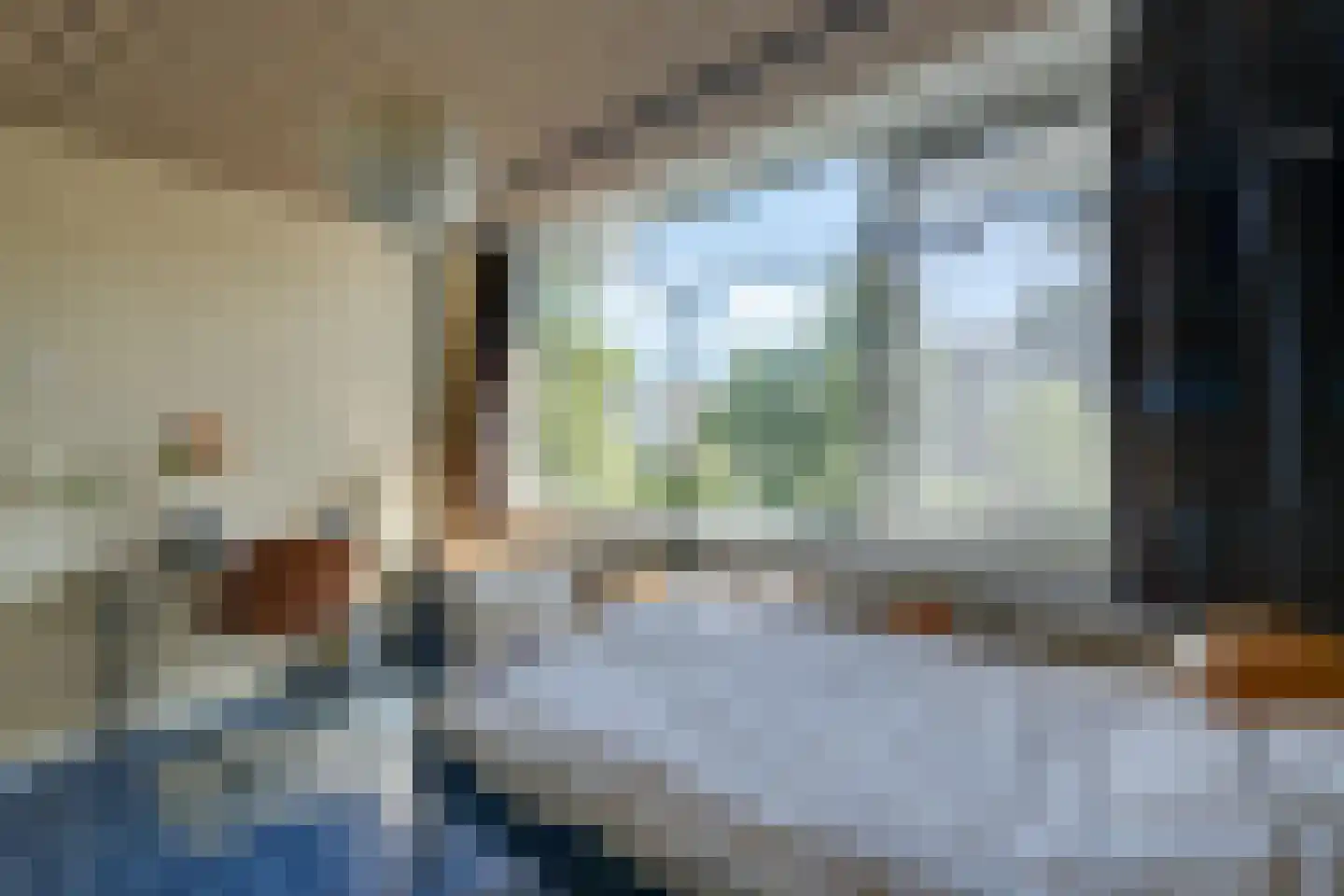 Zwanebloemkade 33 Zaandam thumbnail 45