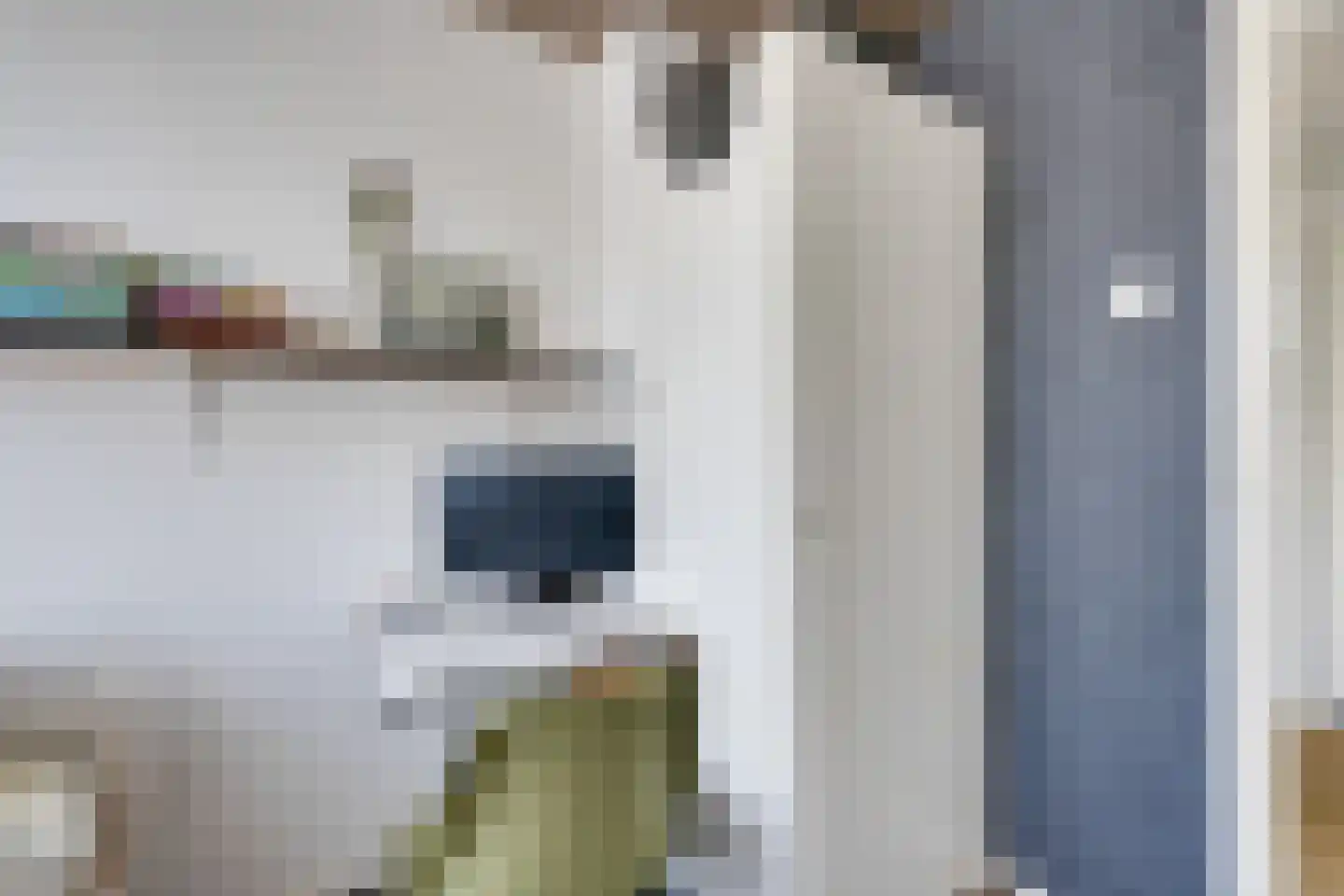 Zwanebloemkade 33 Zaandam thumbnail 47