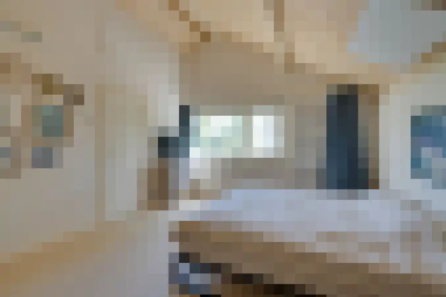 Zwanebloemkade 33 Zaandam thumbnail 52