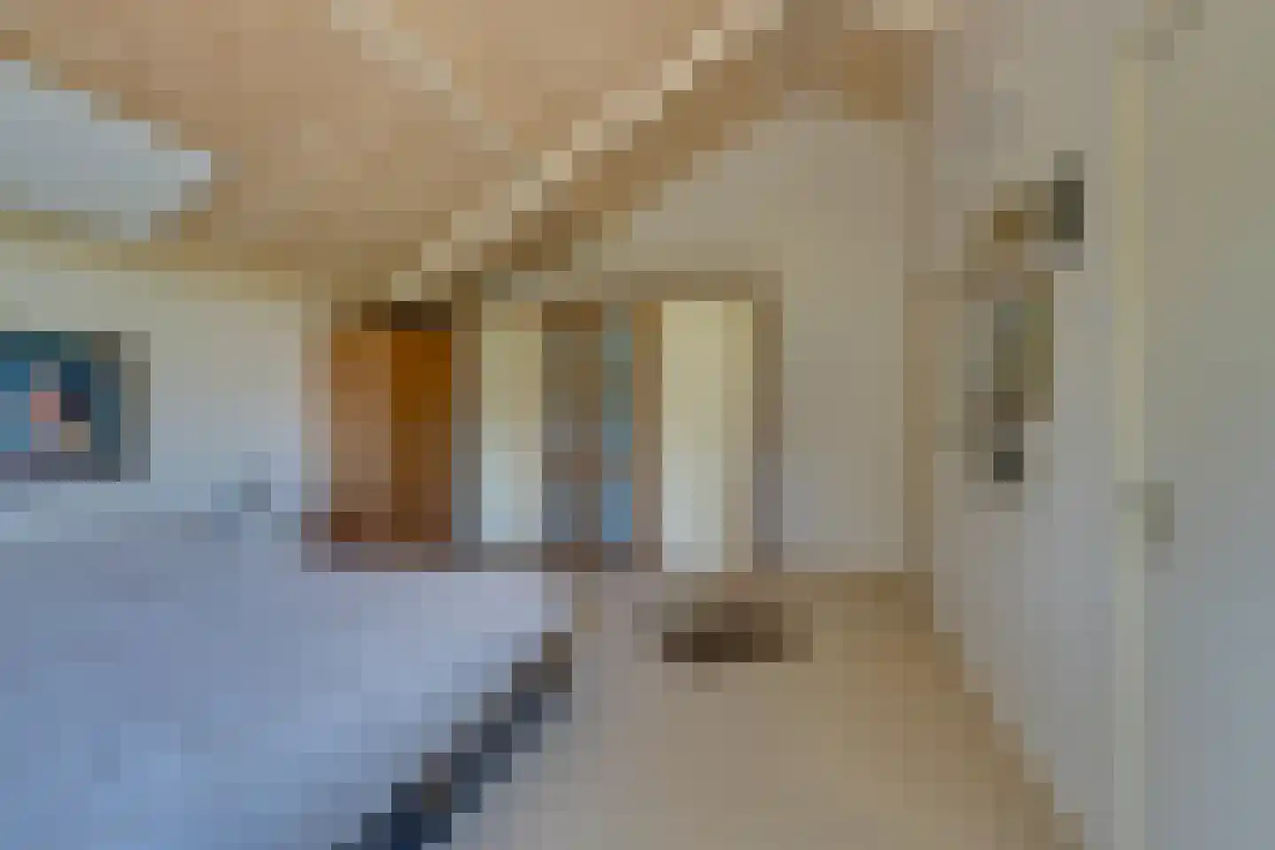 Zwanebloemkade 33 Zaandam thumbnail 55