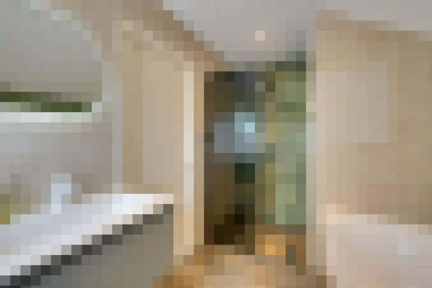 Zwanebloemkade 33 Zaandam thumbnail 59