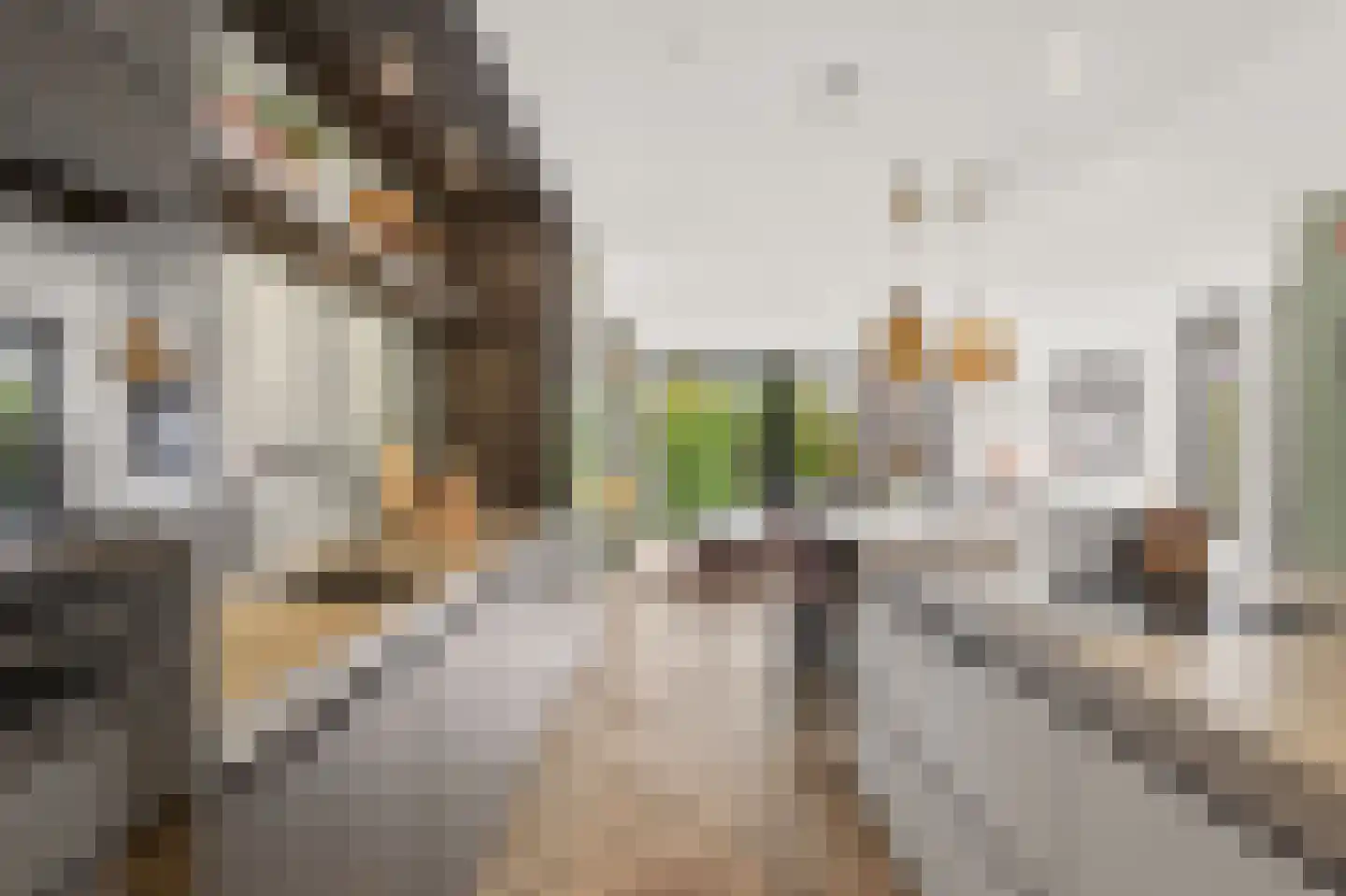 Zwanebloemlaan 103 Amsterdam thumbnail 17
