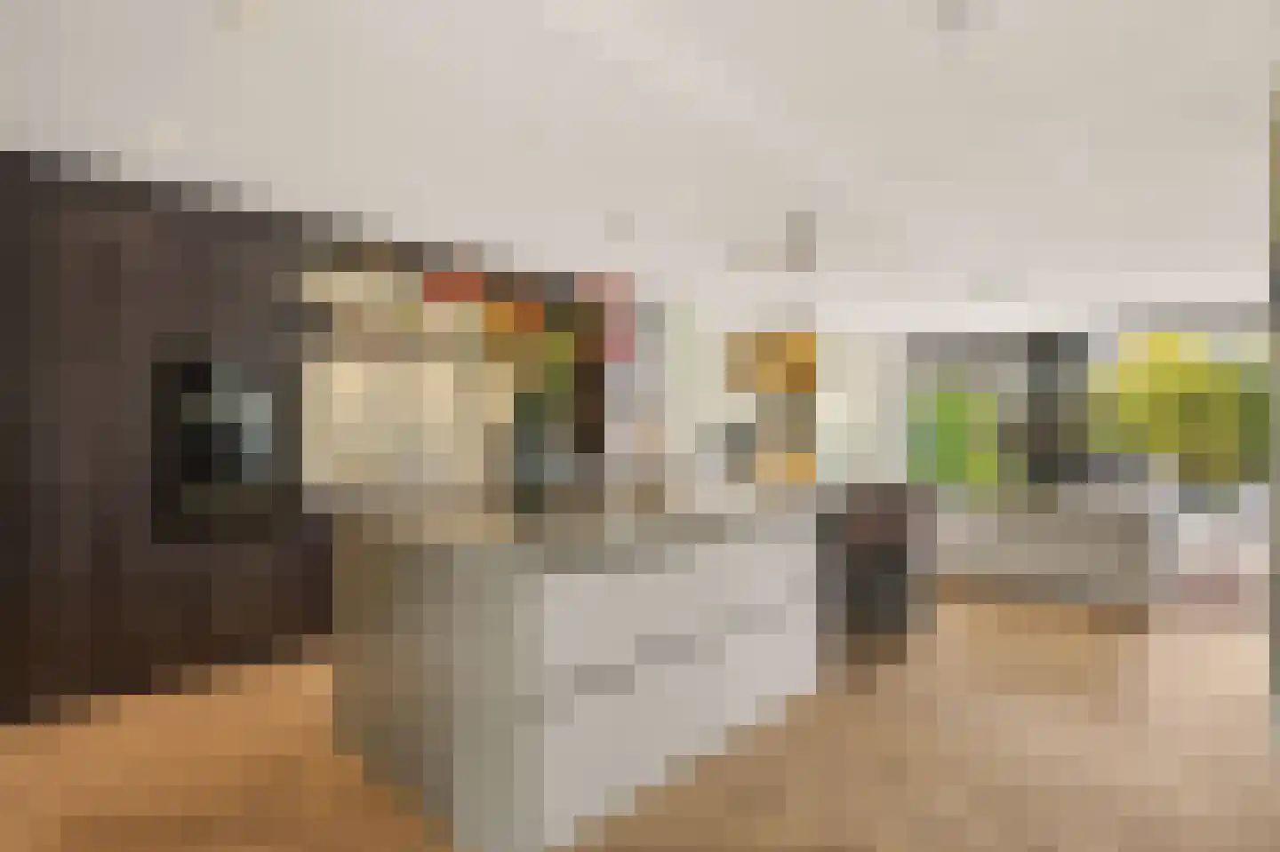 Zwanebloemlaan 103 Amsterdam thumbnail 5