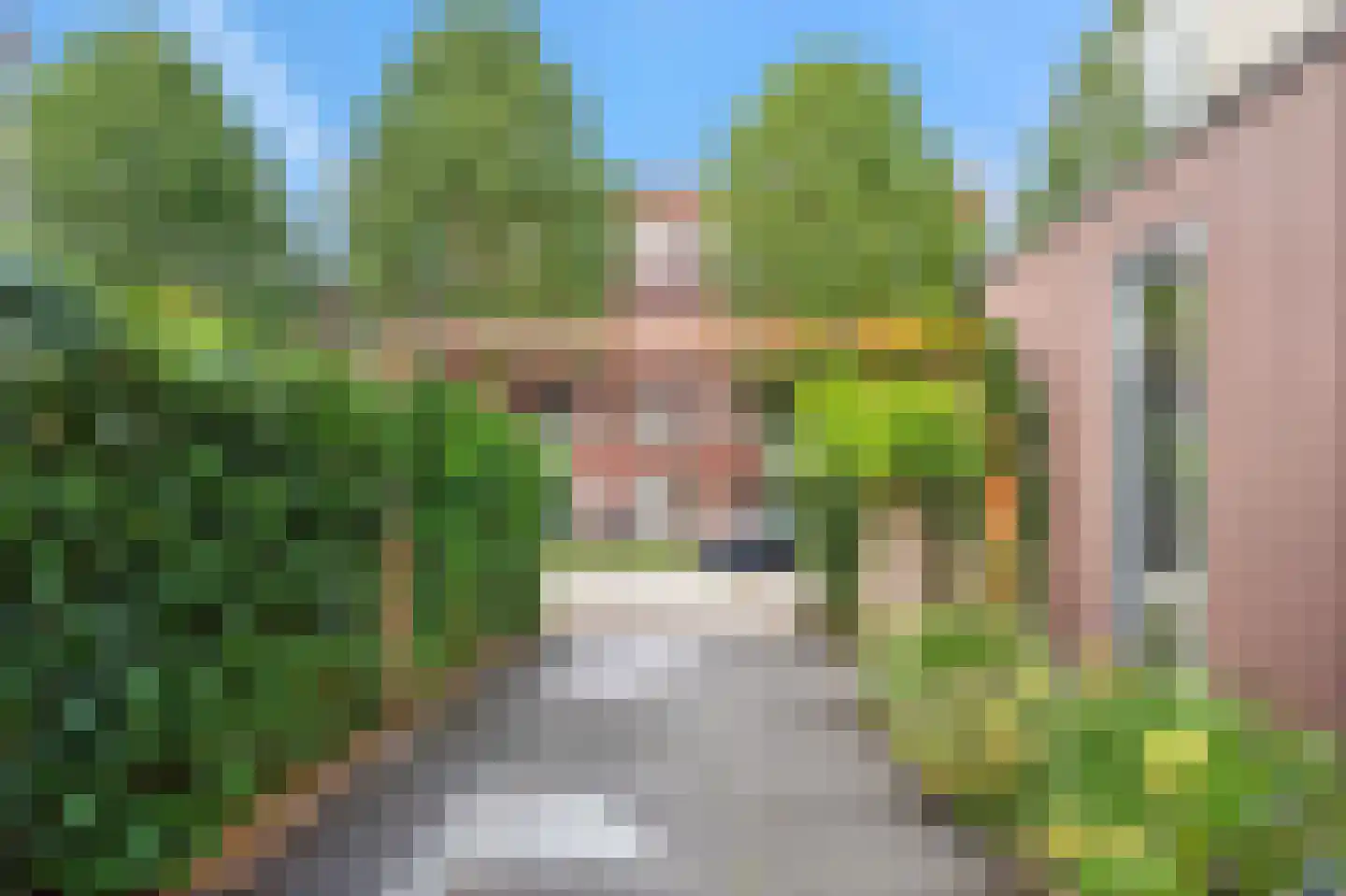 Zwanebloemlaan 103 Amsterdam thumbnail 51