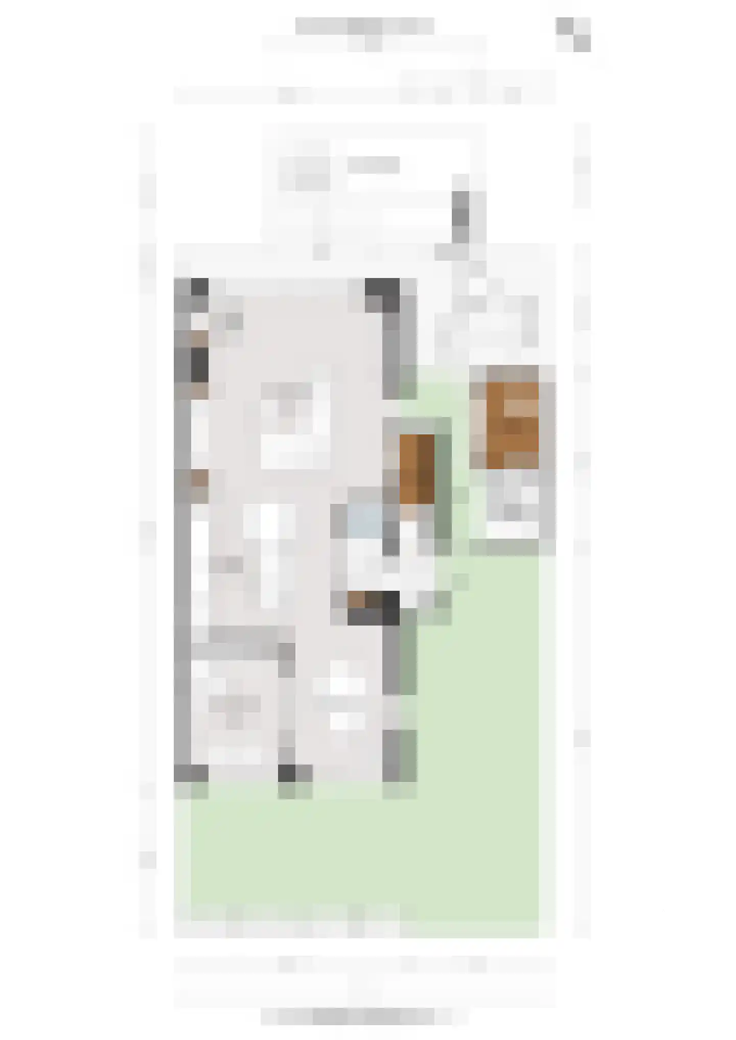 Zwanebloemlaan 103 Amsterdam thumbnail 60