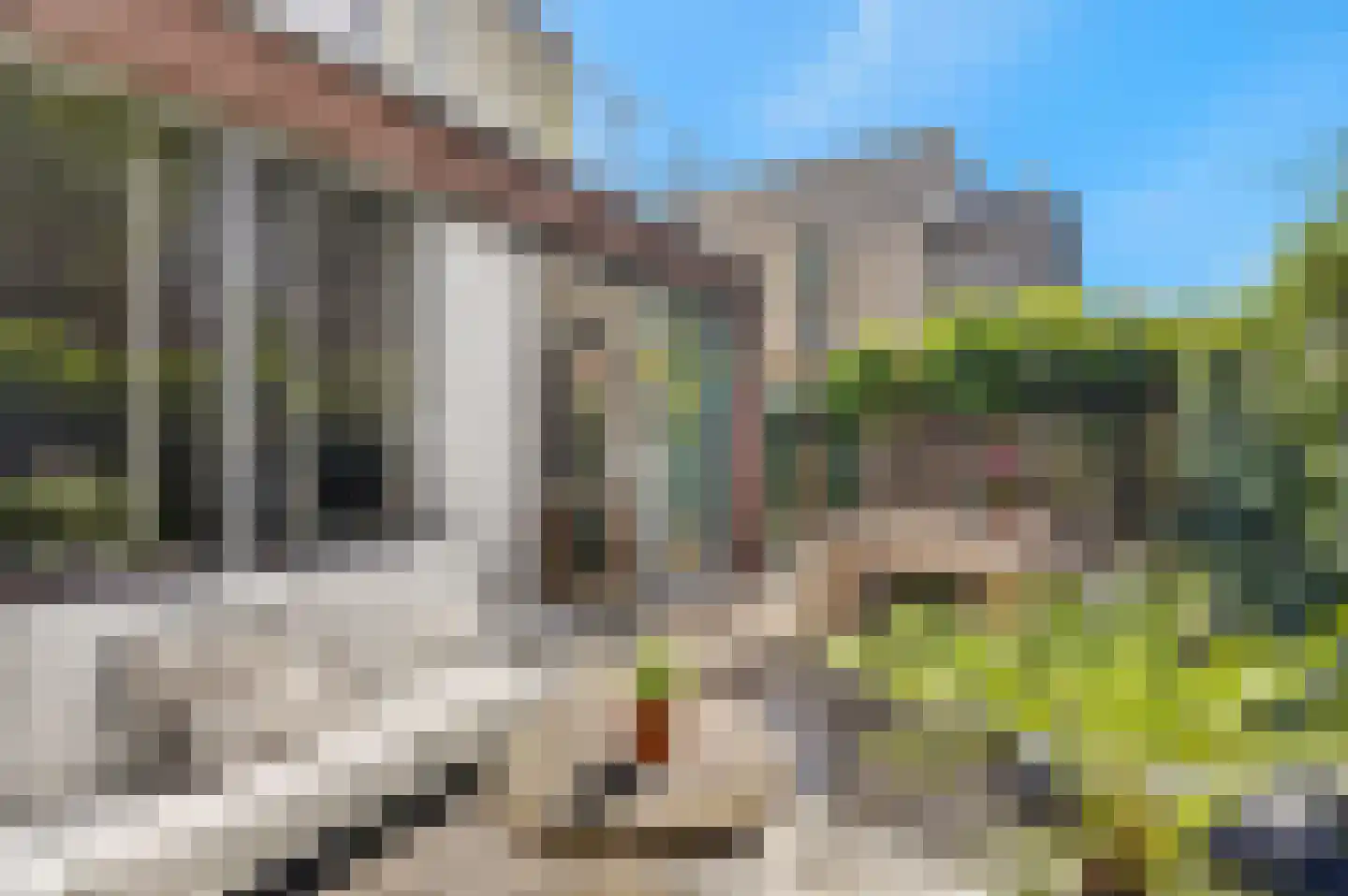 Zwanebloemlaan 103 Amsterdam thumbnail 8