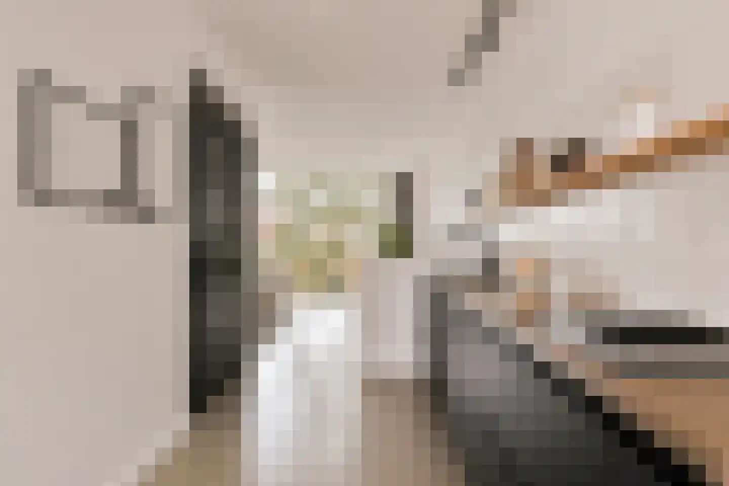 Zwanebloemlaan 106 Amsterdam thumbnail 18