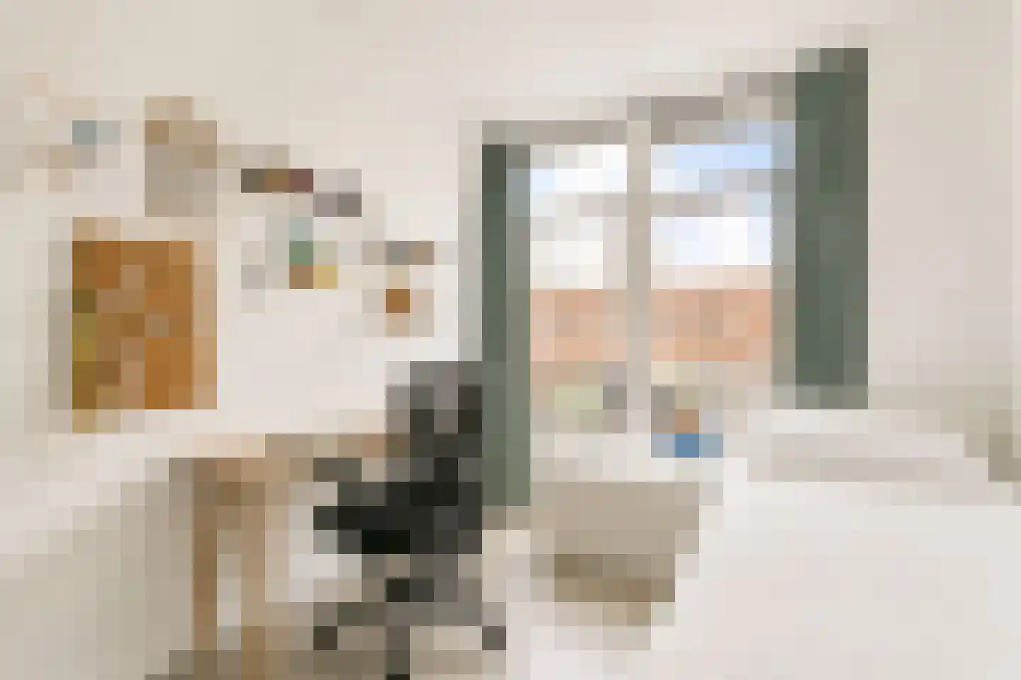 Zwanebloemlaan 106 Amsterdam thumbnail 20