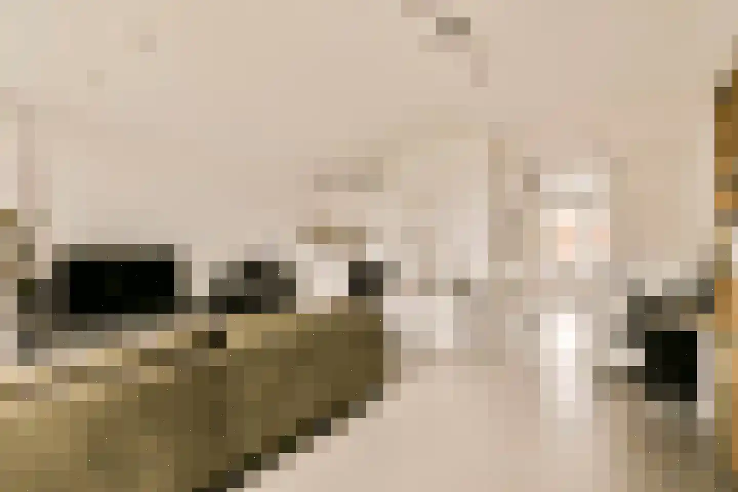 Zwanebloemlaan 106 Amsterdam thumbnail 4