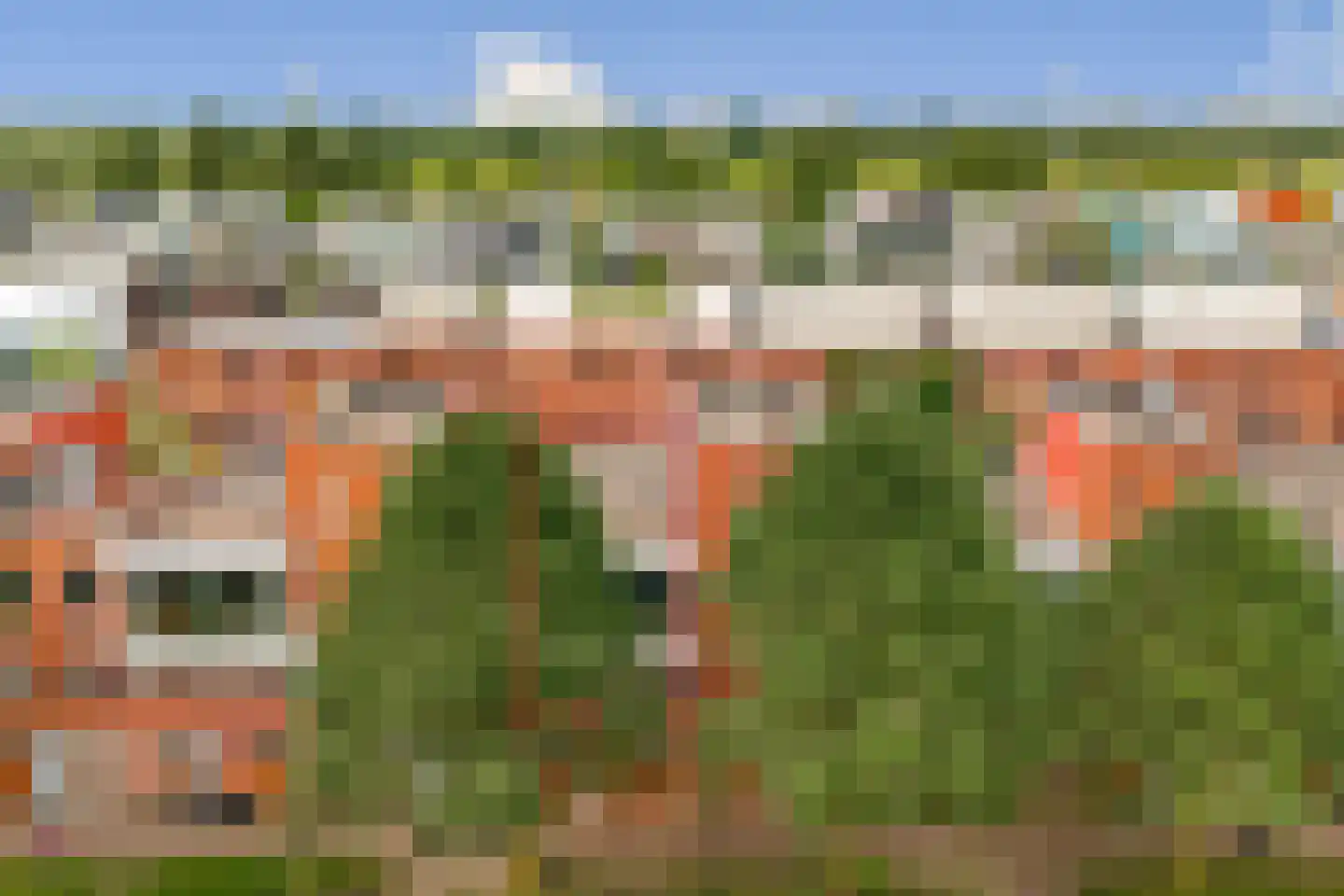 Zwanebloemlaan 106 Amsterdam thumbnail 6