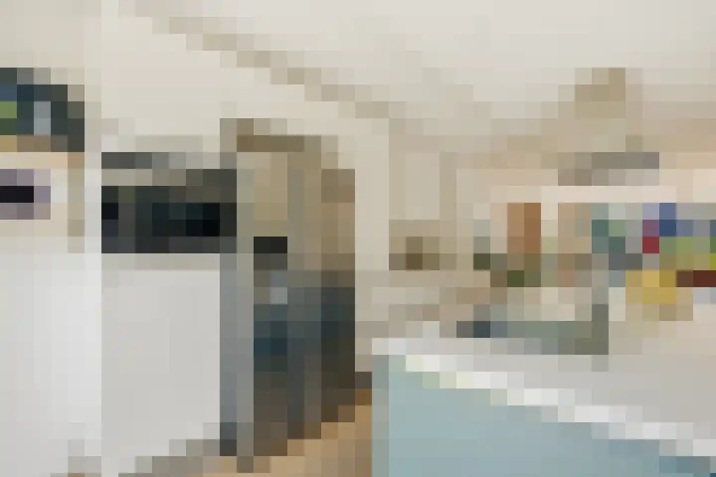 Zwanebloemlaan 111 Amsterdam thumbnail 16