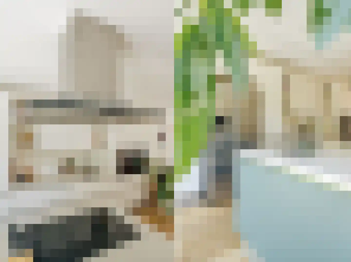 Zwanebloemlaan 111 Amsterdam thumbnail 17