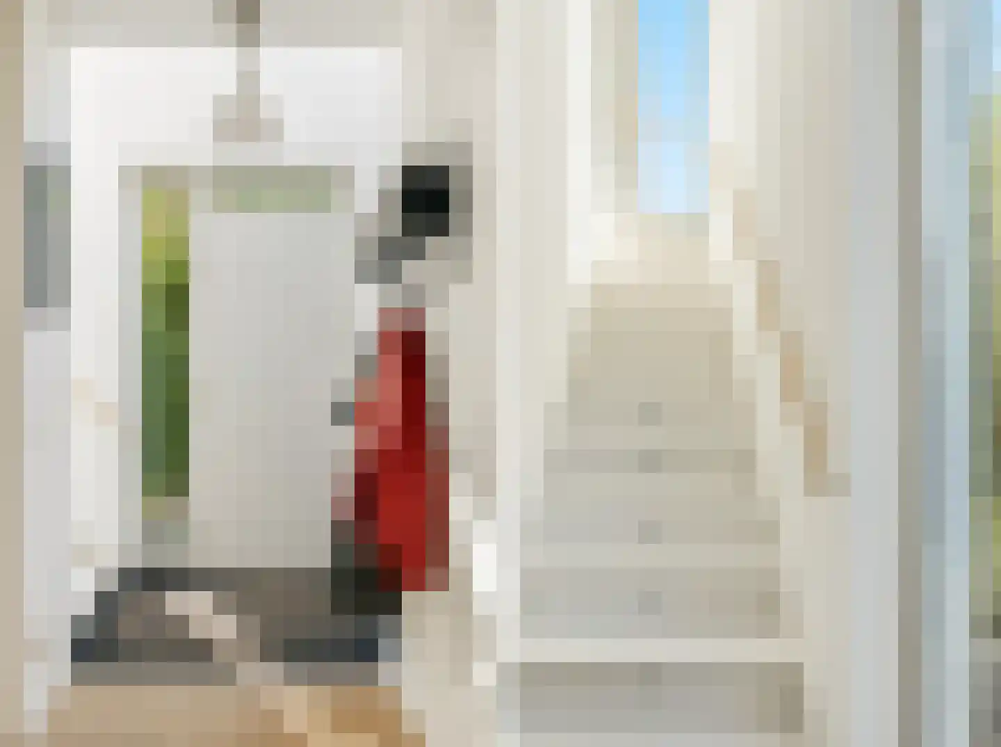 Zwanebloemlaan 111 Amsterdam thumbnail 20