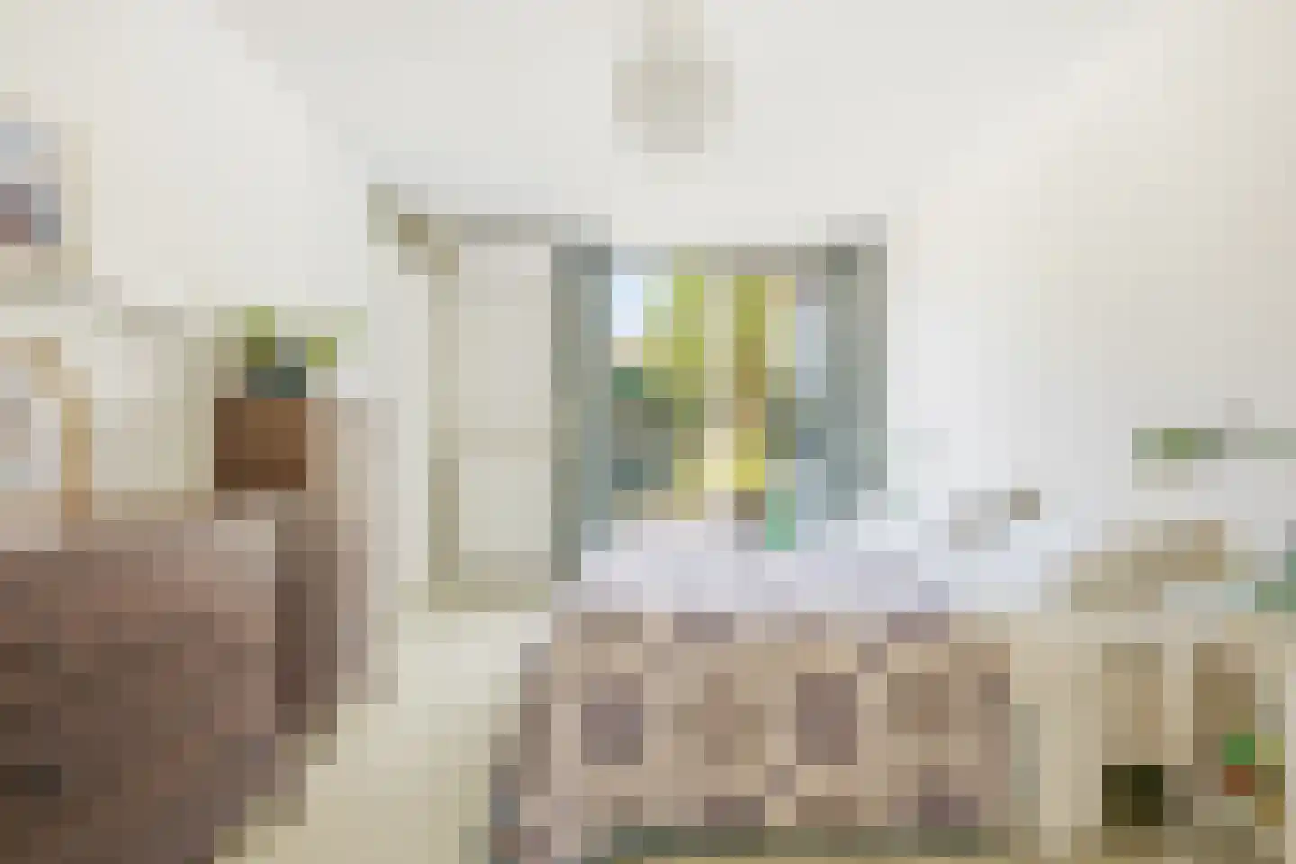 Zwanebloemlaan 111 Amsterdam thumbnail 23