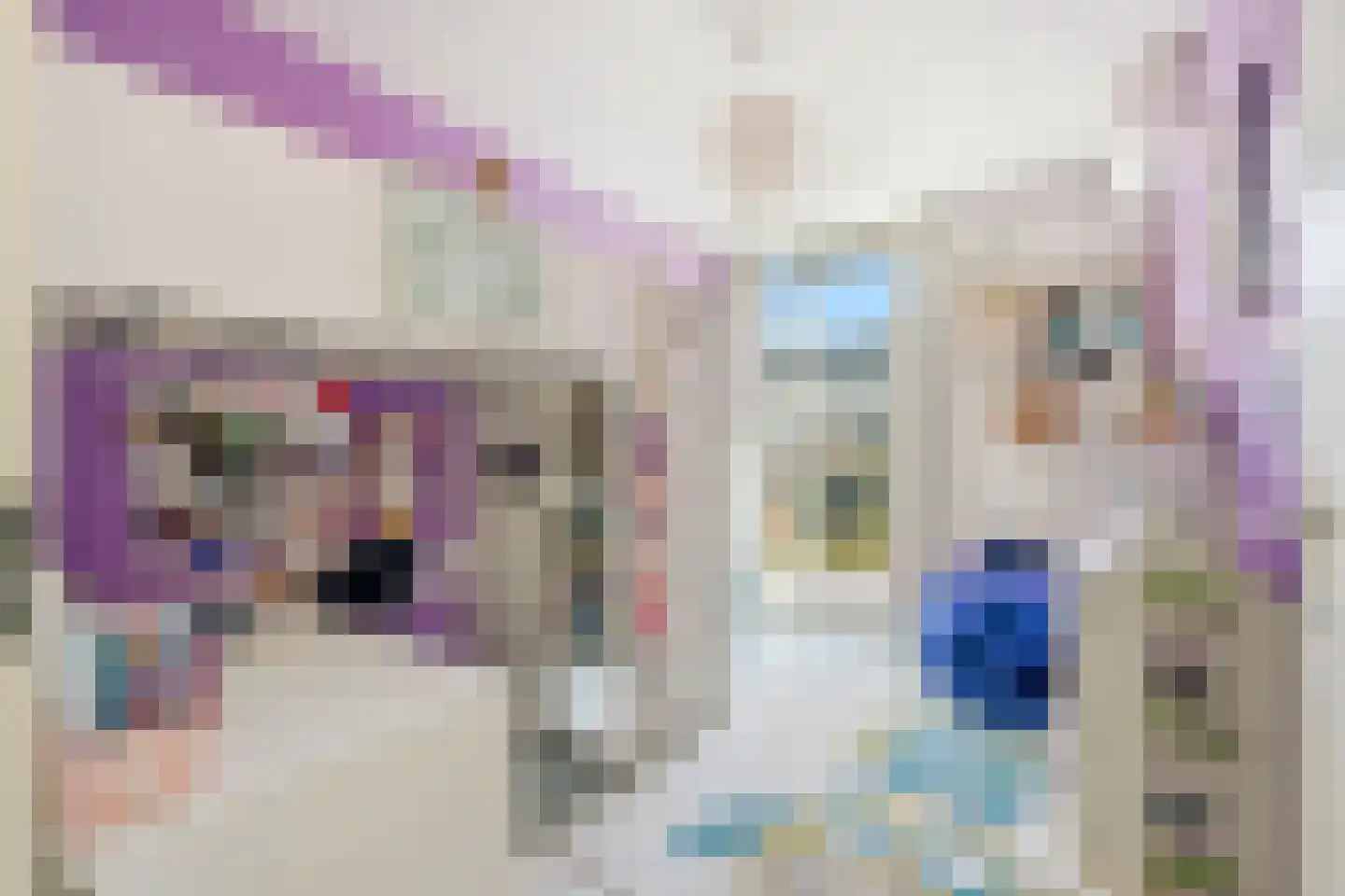 Zwanebloemlaan 111 Amsterdam thumbnail 29
