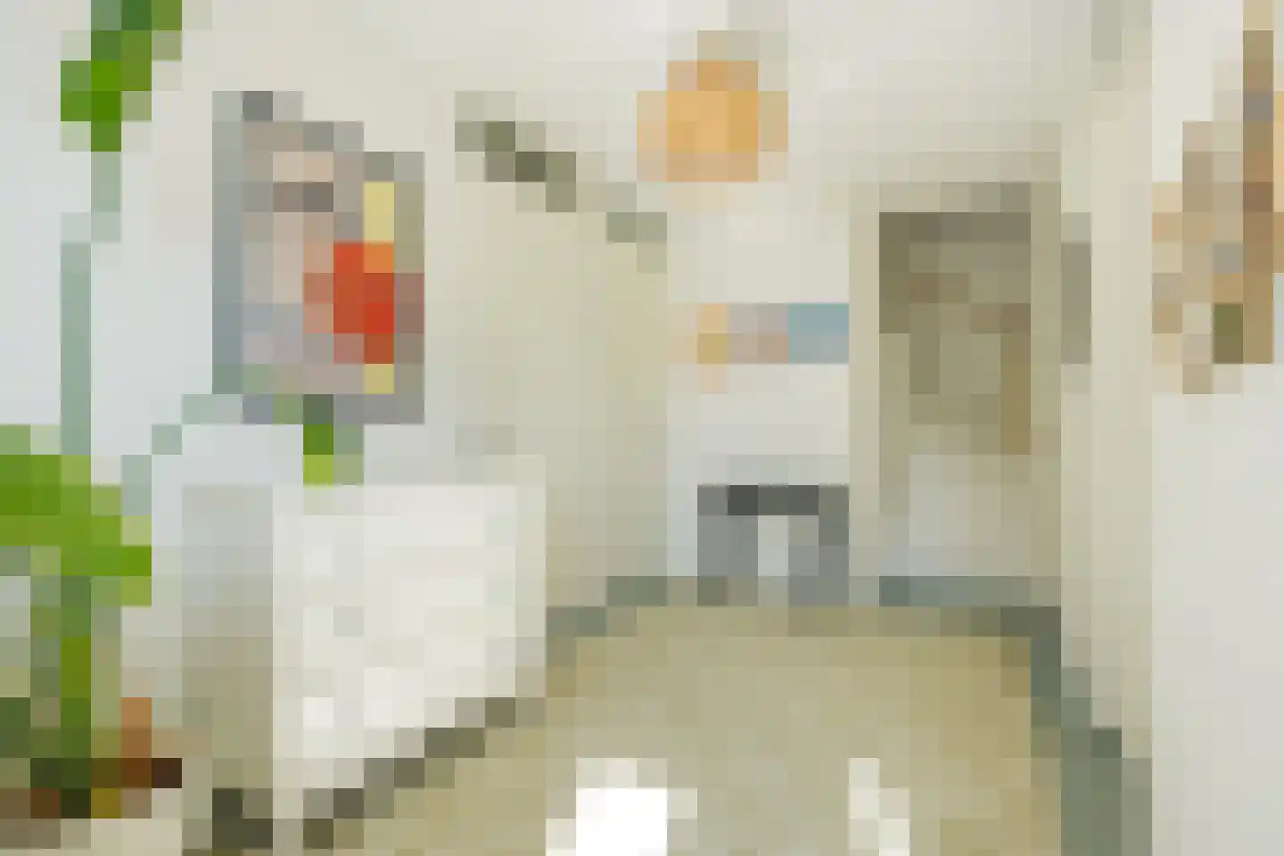 Zwanebloemlaan 111 Amsterdam thumbnail 33