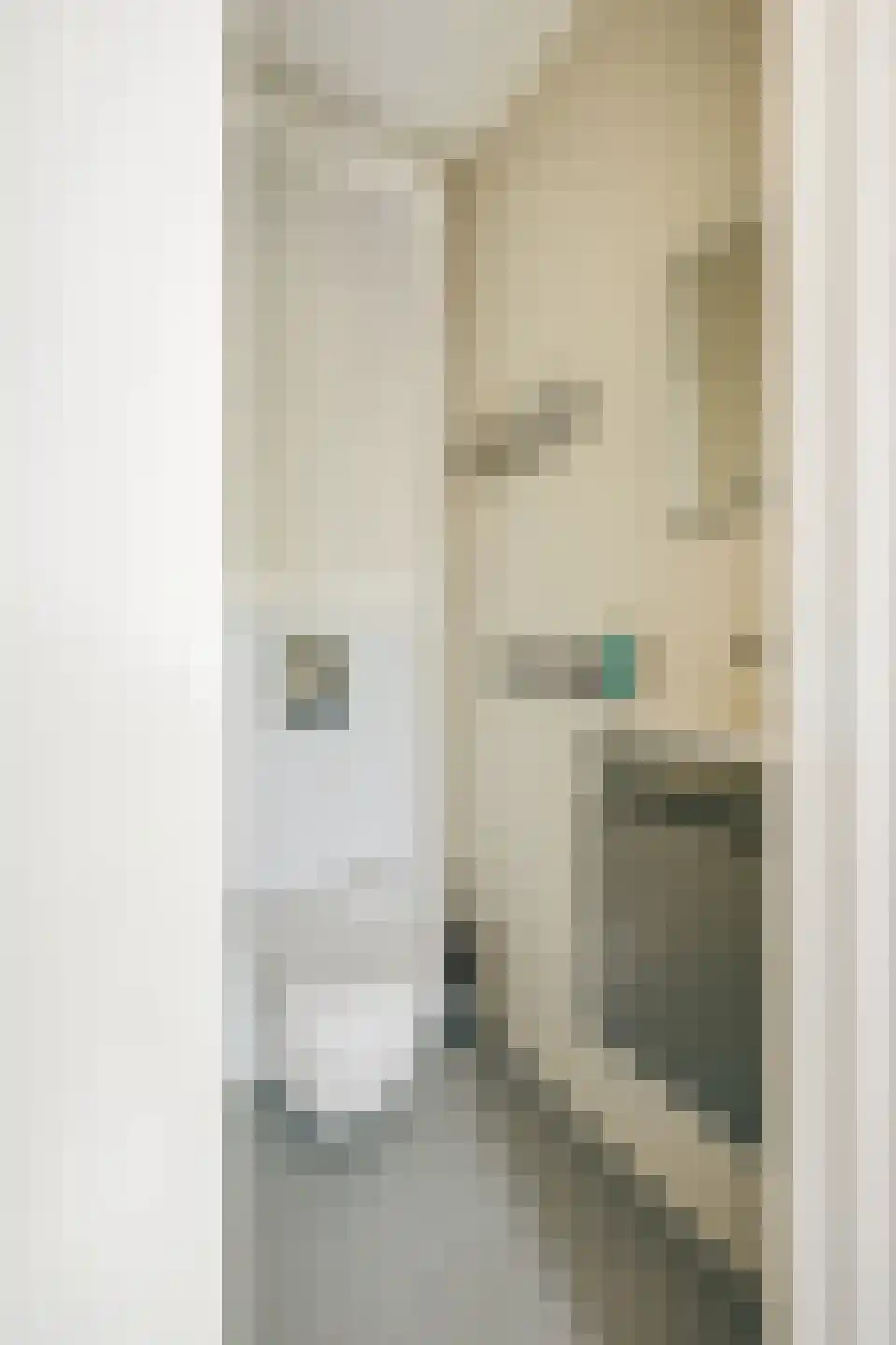 Zwanebloemlaan 111 Amsterdam thumbnail 38