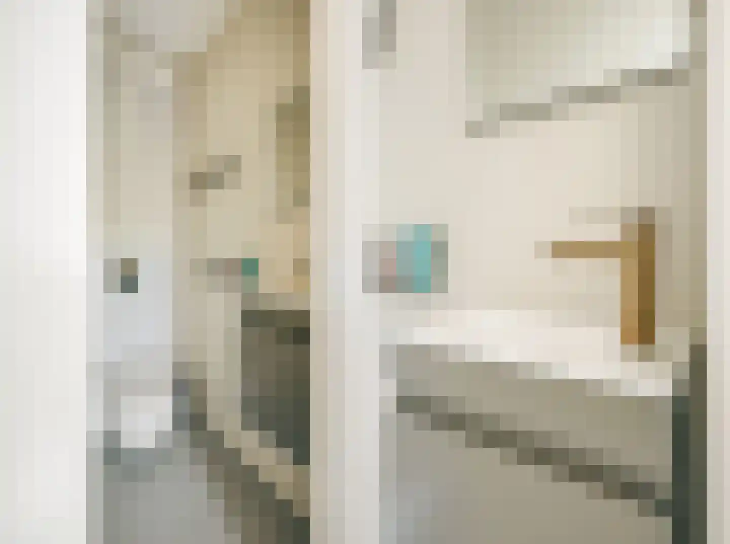 Zwanebloemlaan 111 Amsterdam thumbnail 39