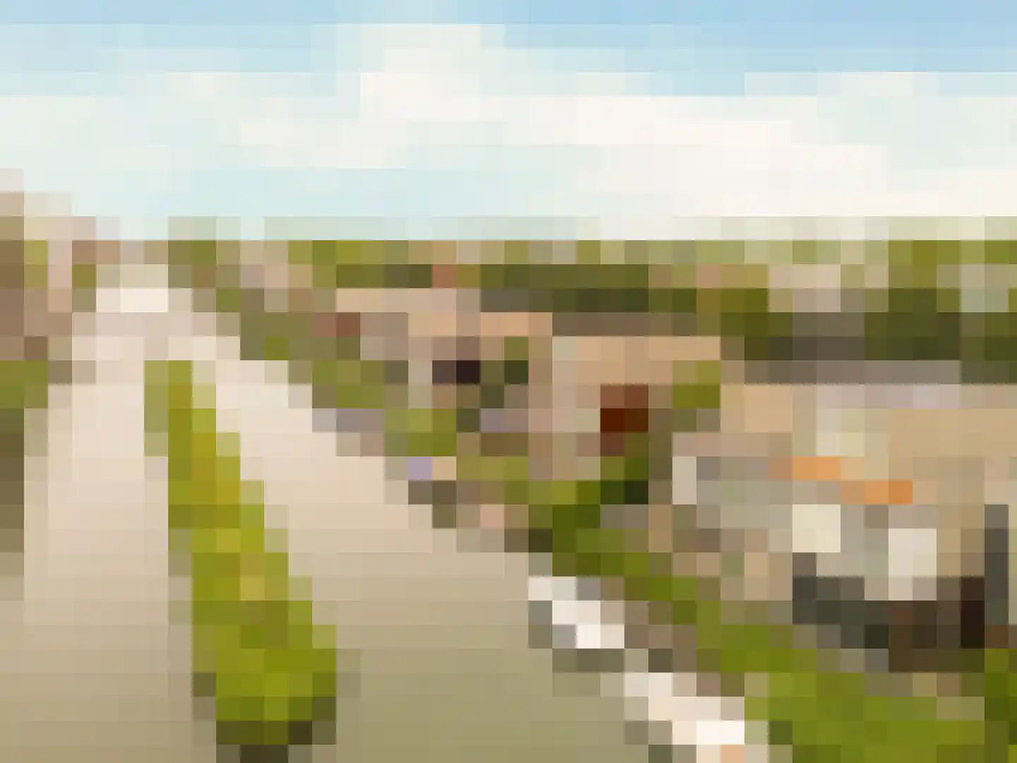 Zwanebloemlaan 111 Amsterdam thumbnail 41