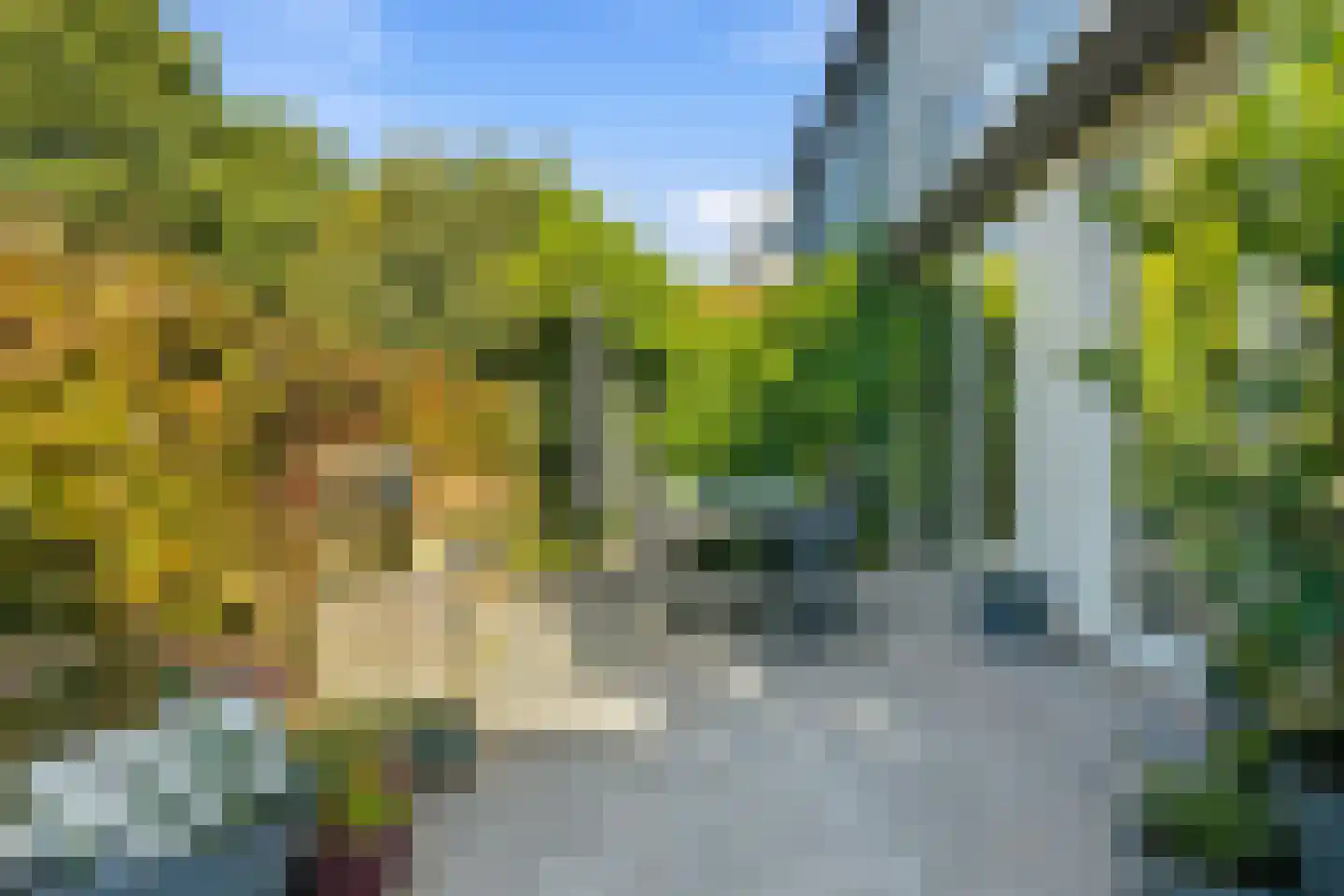 Zwanebloemlaan 111 Amsterdam thumbnail 8