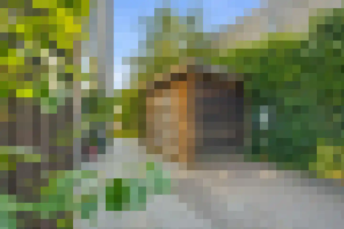 Zwanebloemlaan 111 Amsterdam thumbnail 9