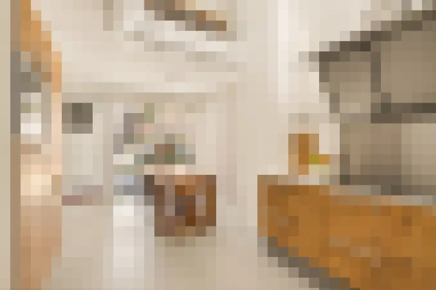 Zwanebloemlaan 200 Amsterdam thumbnail 11