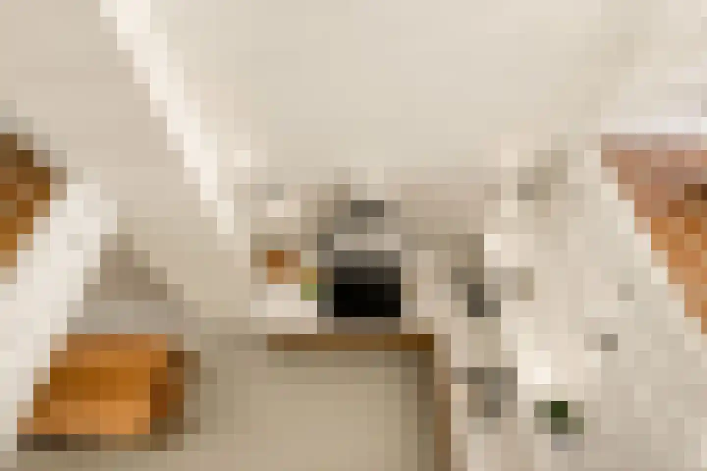 Zwanebloemlaan 200 Amsterdam thumbnail 13