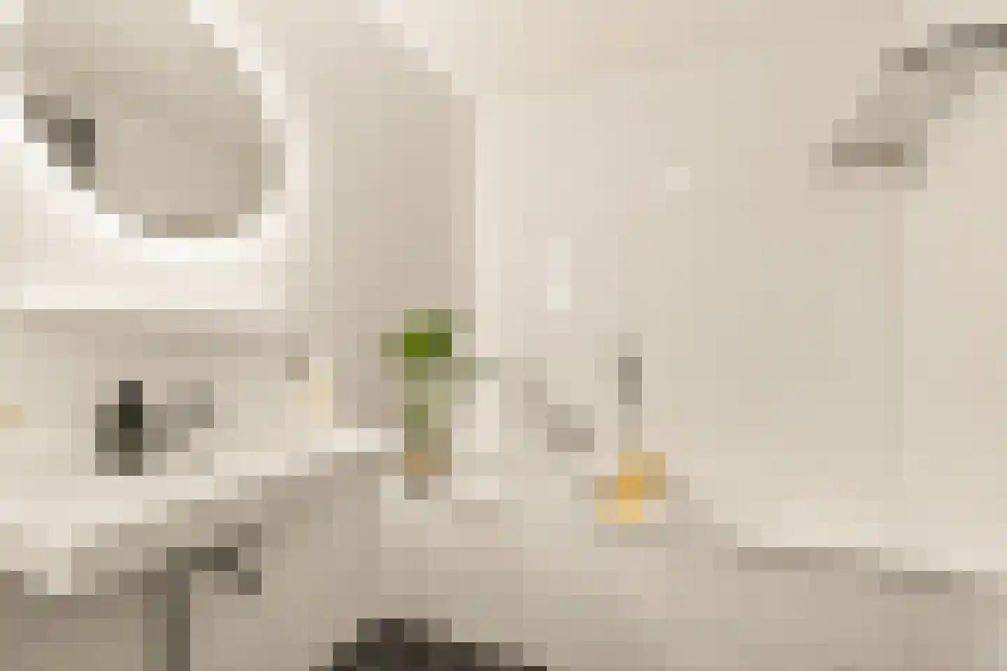 Zwanebloemlaan 200 Amsterdam thumbnail 21