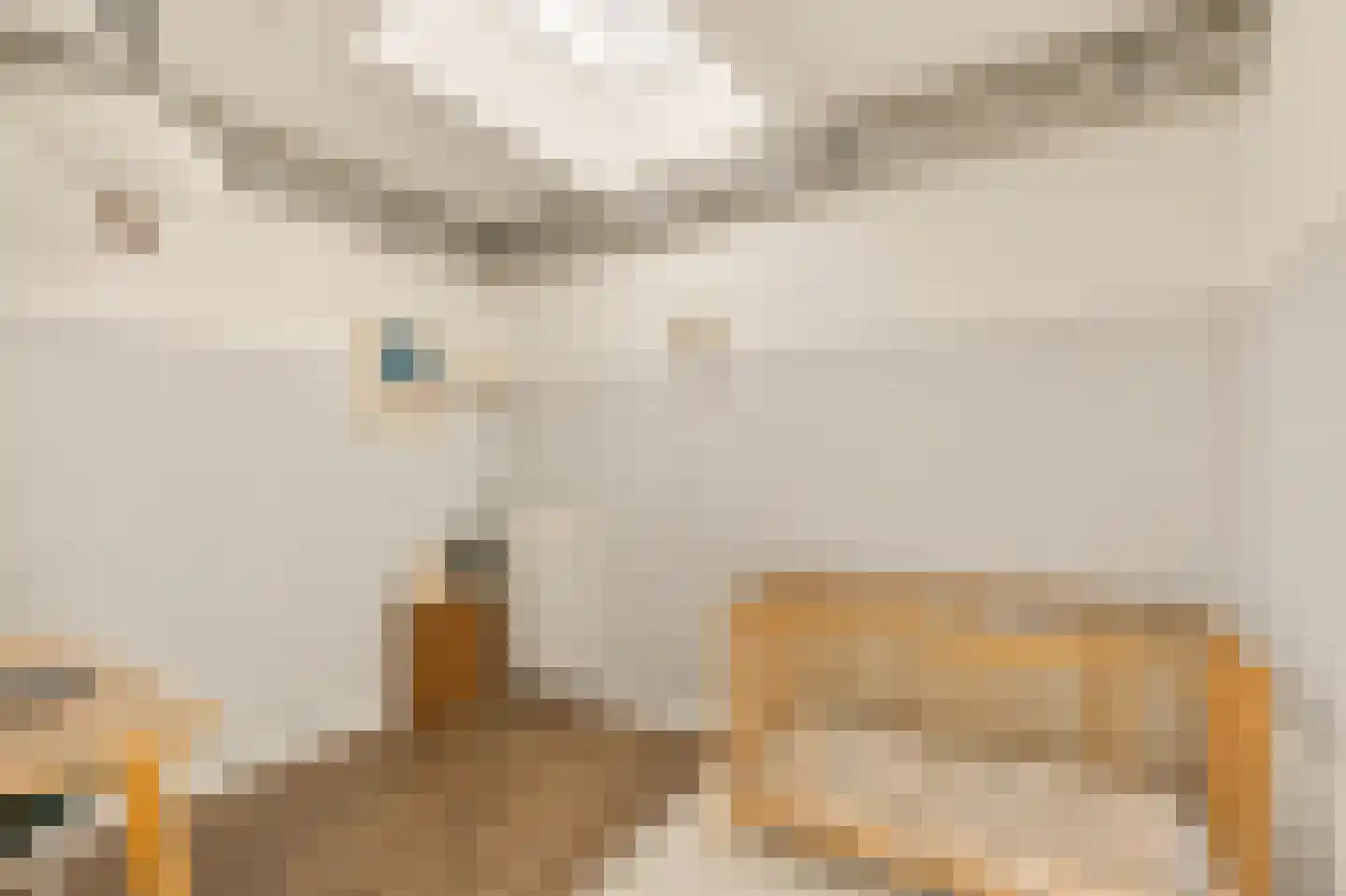 Zwanebloemlaan 200 Amsterdam thumbnail 24