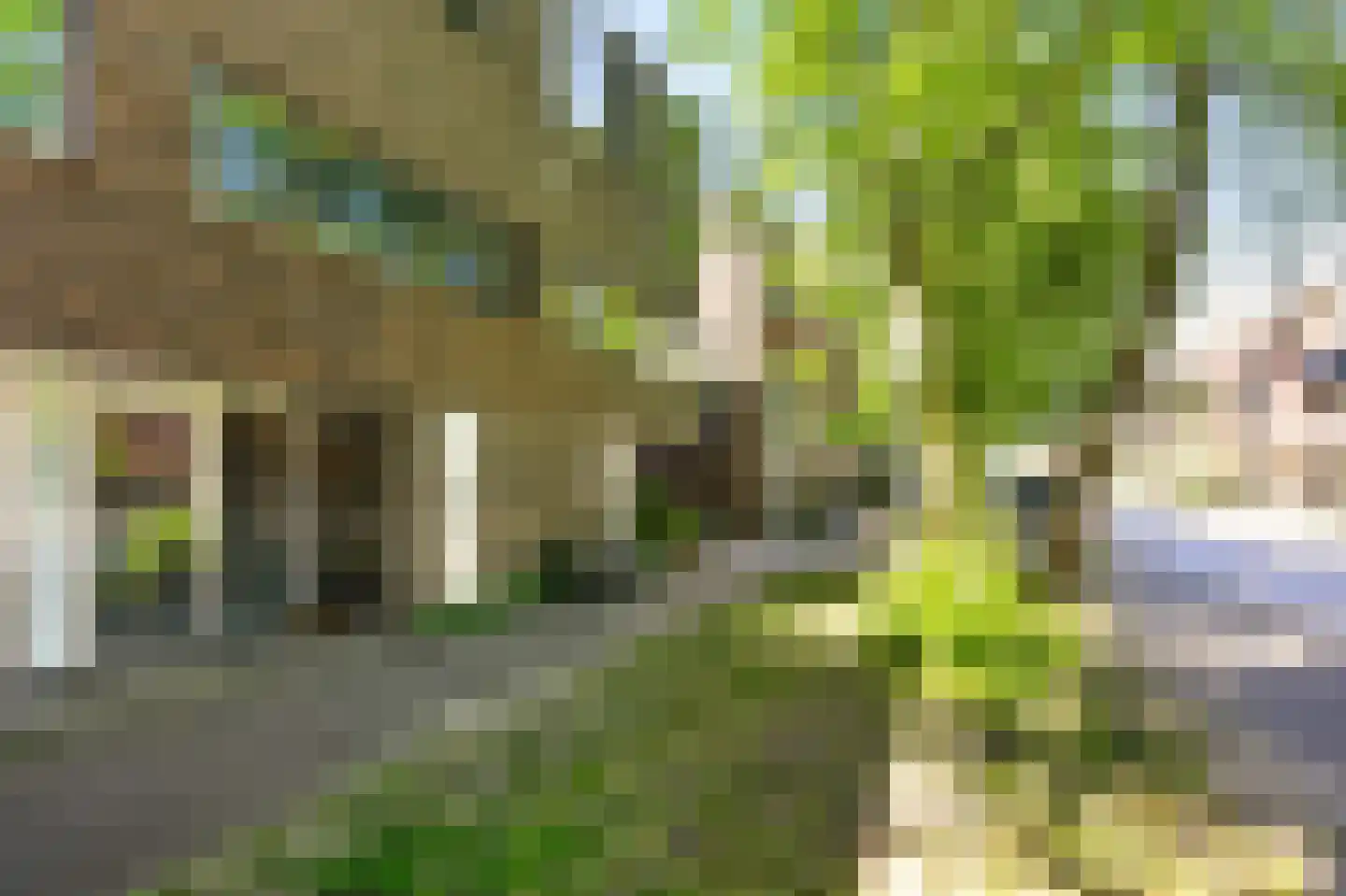 Zwanebloemlaan 200 Amsterdam thumbnail 28