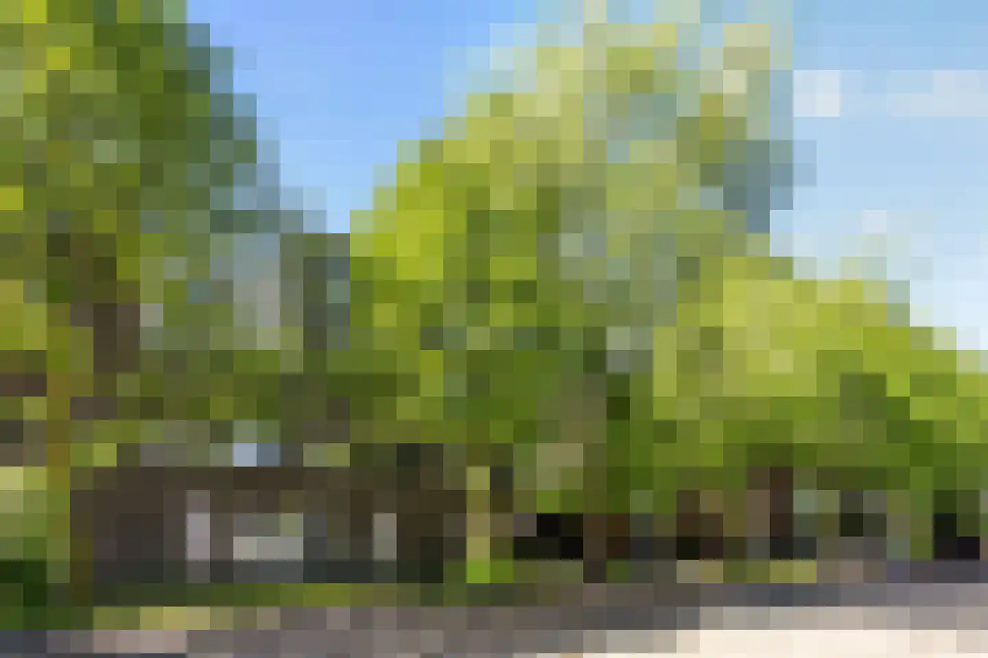 Zwanebloemlaan 200 Amsterdam thumbnail 29