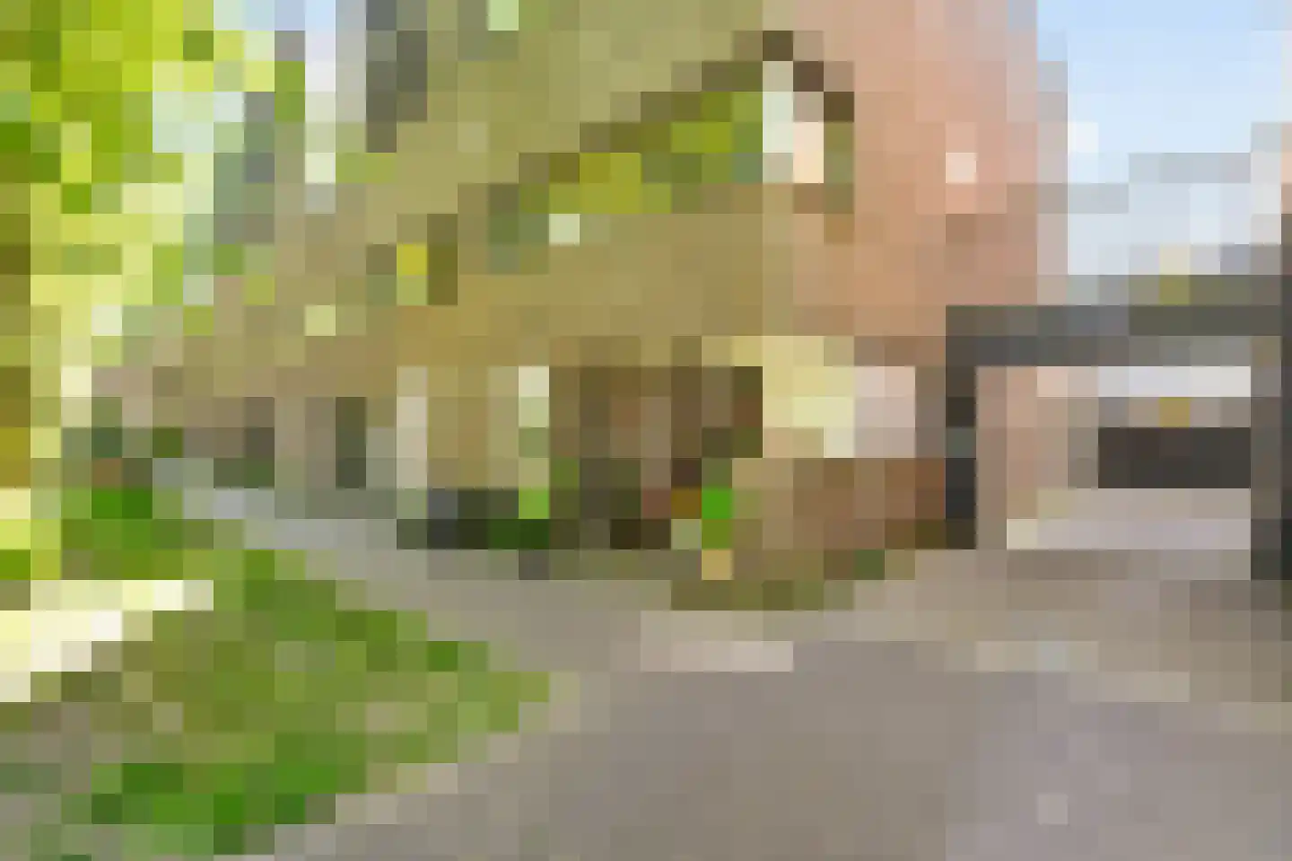 Zwanebloemlaan 200 Amsterdam thumbnail 30
