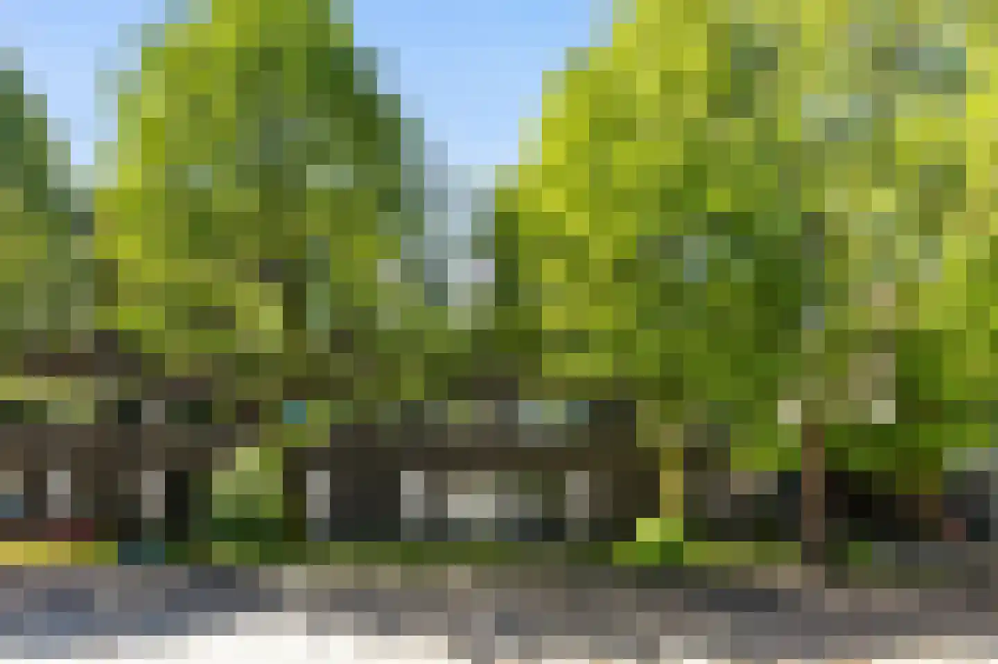 Zwanebloemlaan 200 Amsterdam thumbnail 4