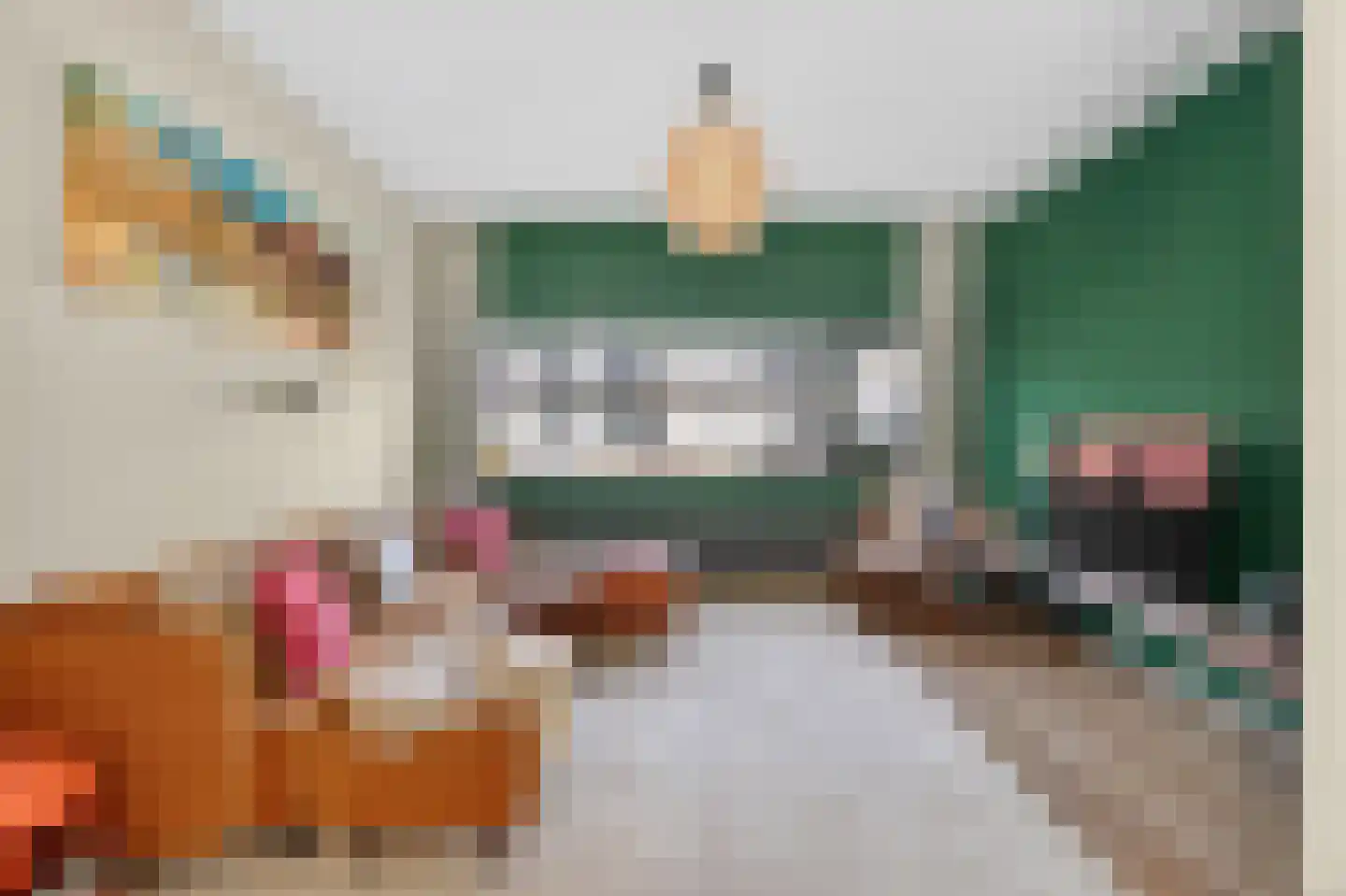 Zwanebloemlaan 214 Amsterdam thumbnail 10