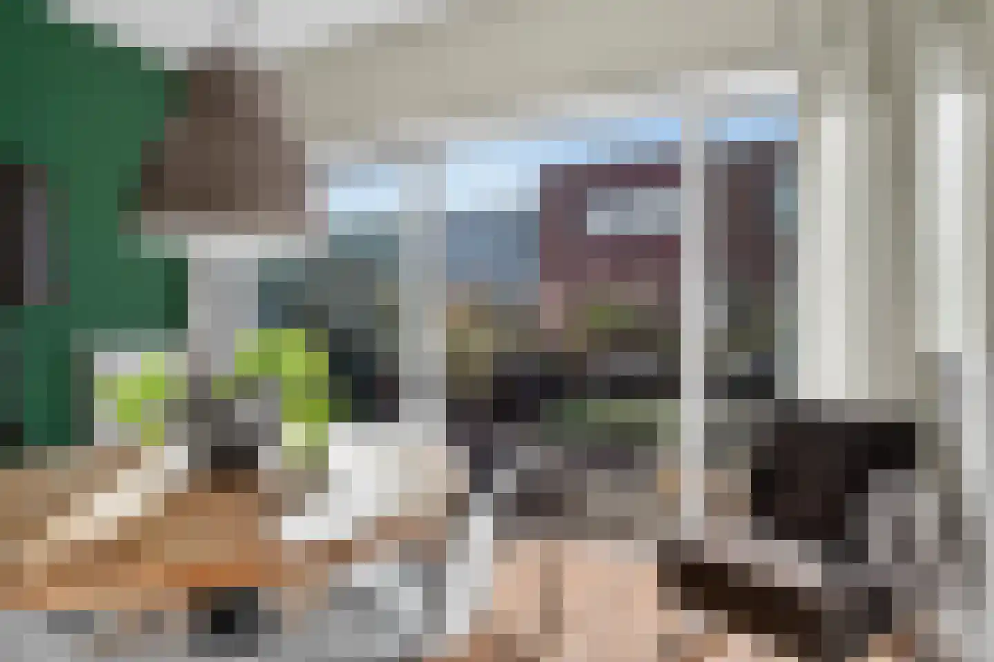 Zwanebloemlaan 214 Amsterdam thumbnail 14