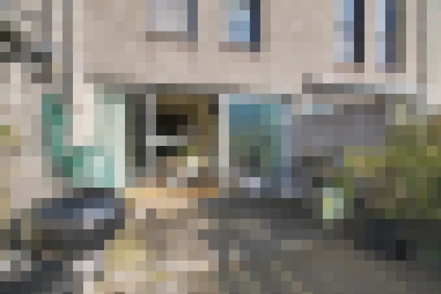 Zwanebloemlaan 214 Amsterdam thumbnail 16