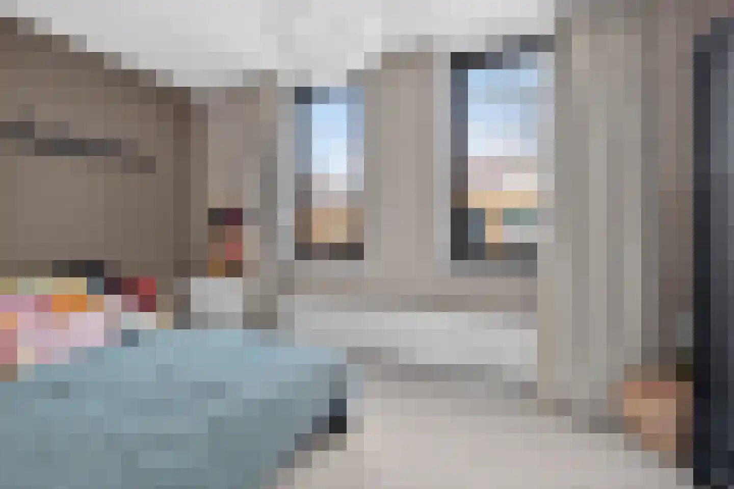 Zwanebloemlaan 214 Amsterdam thumbnail 18