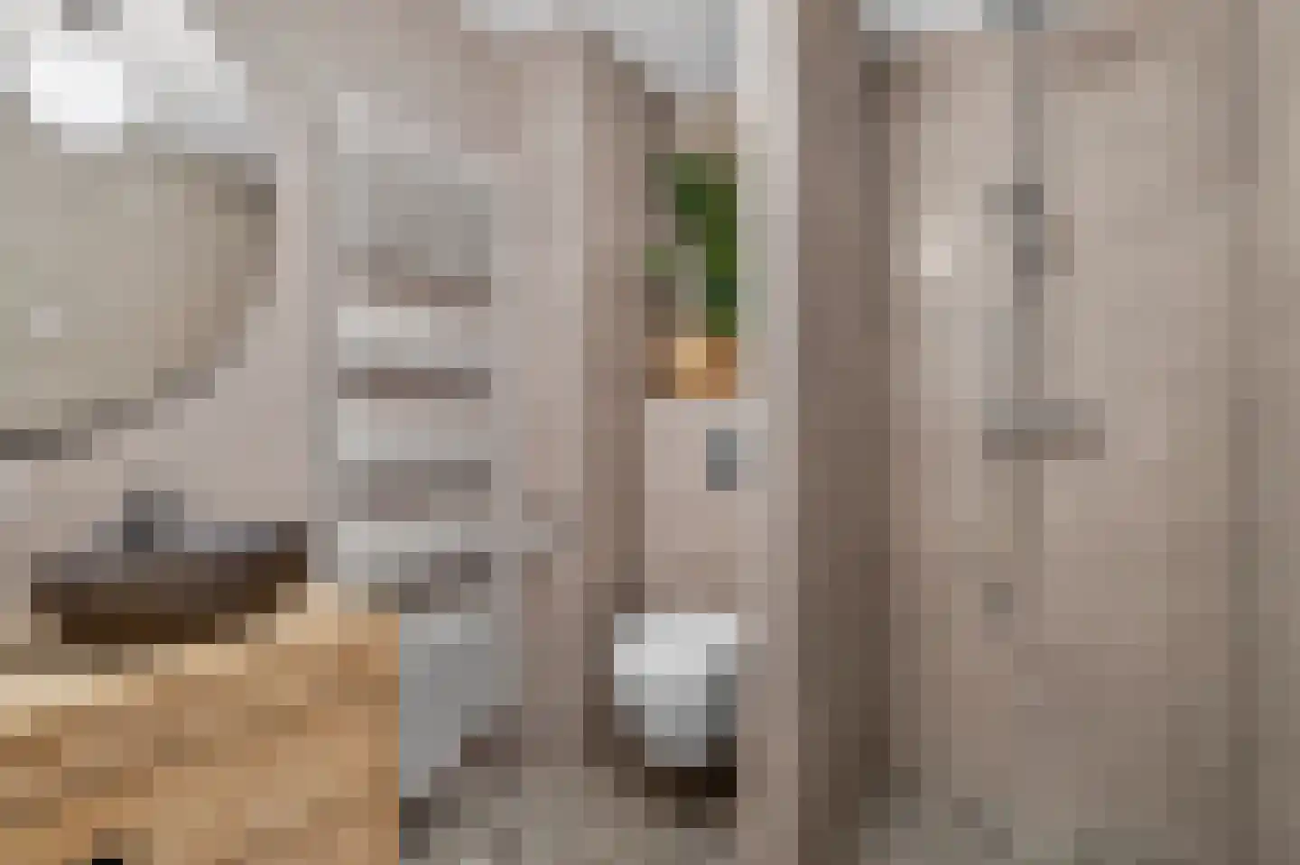 Zwanebloemlaan 214 Amsterdam thumbnail 21