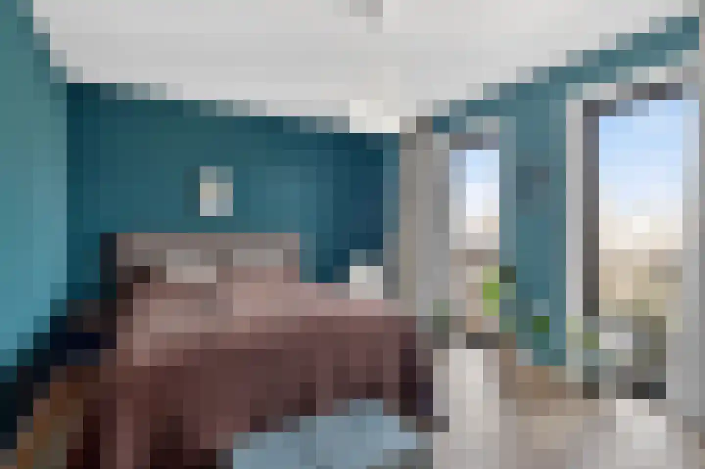 Zwanebloemlaan 214 Amsterdam thumbnail 26